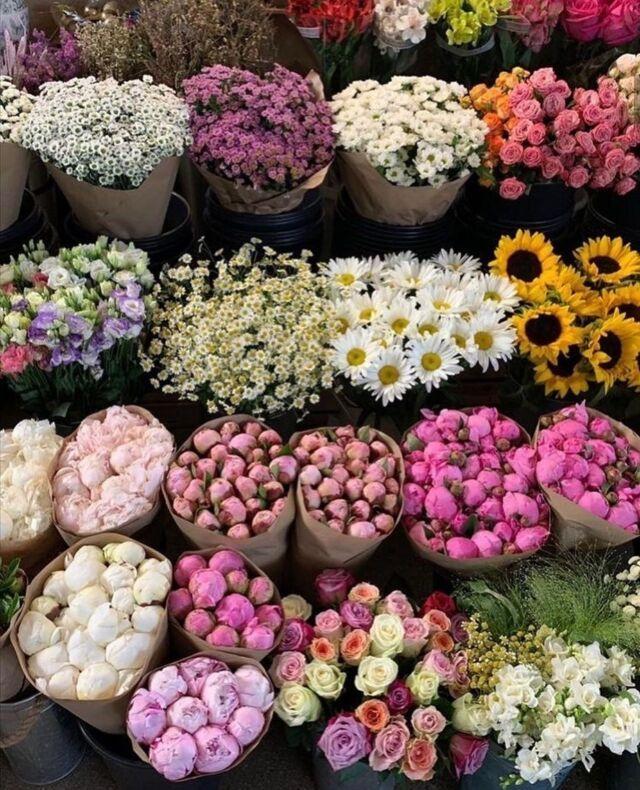 Enchanted Meadow Wildflower Collection